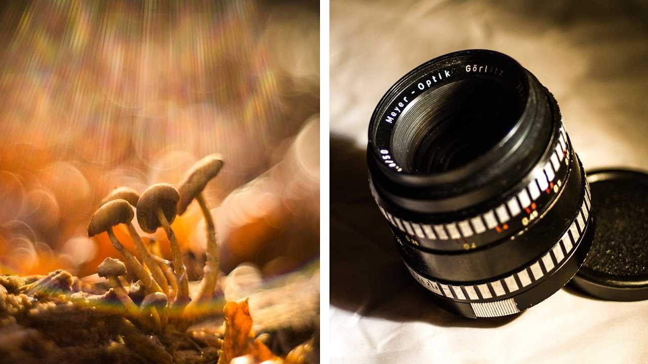 Обзор meyer-optik görlitz domiplan 50mm f2.8 - фотик в деревне