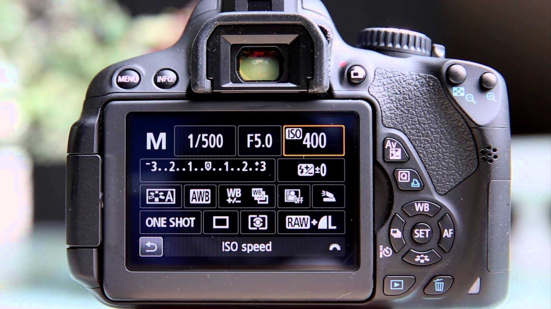 Nikon d1h review