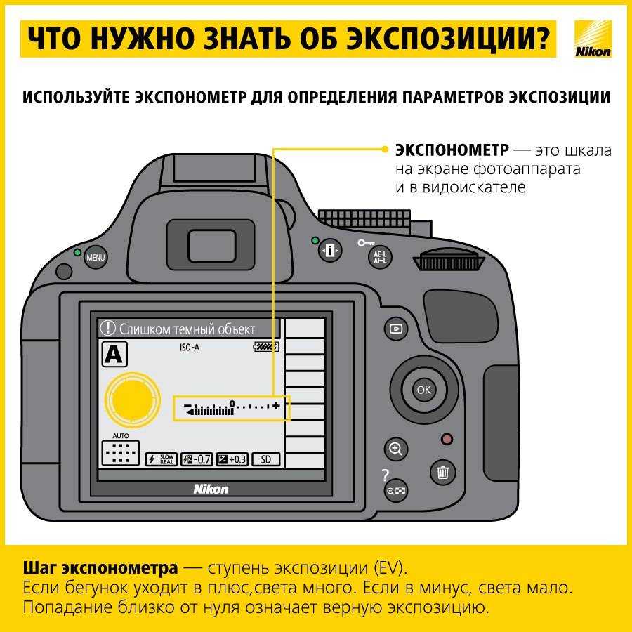 Выдержка