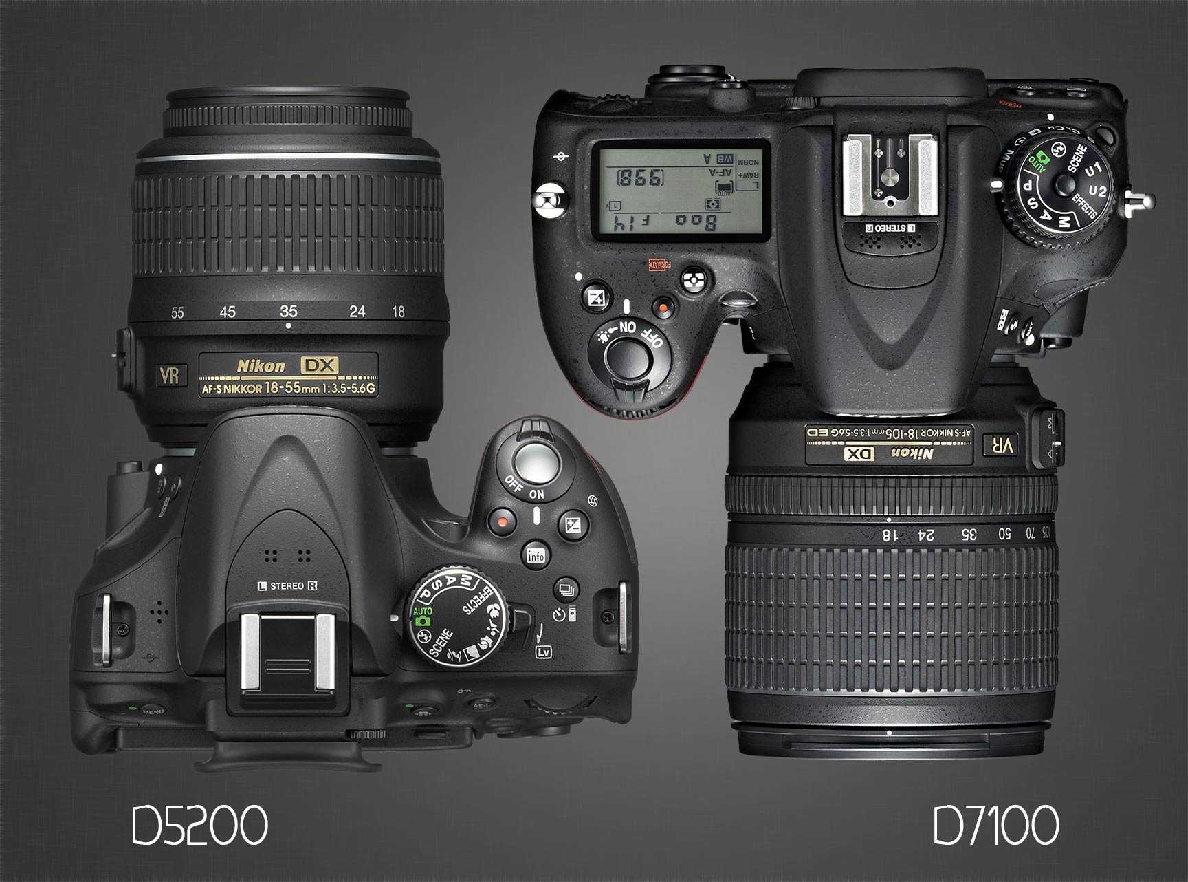 Отзывы на работу фотоаппарата Nikon D5200 Обзор камеры Nikon D5200 от Радоживы с примерами фотографий
