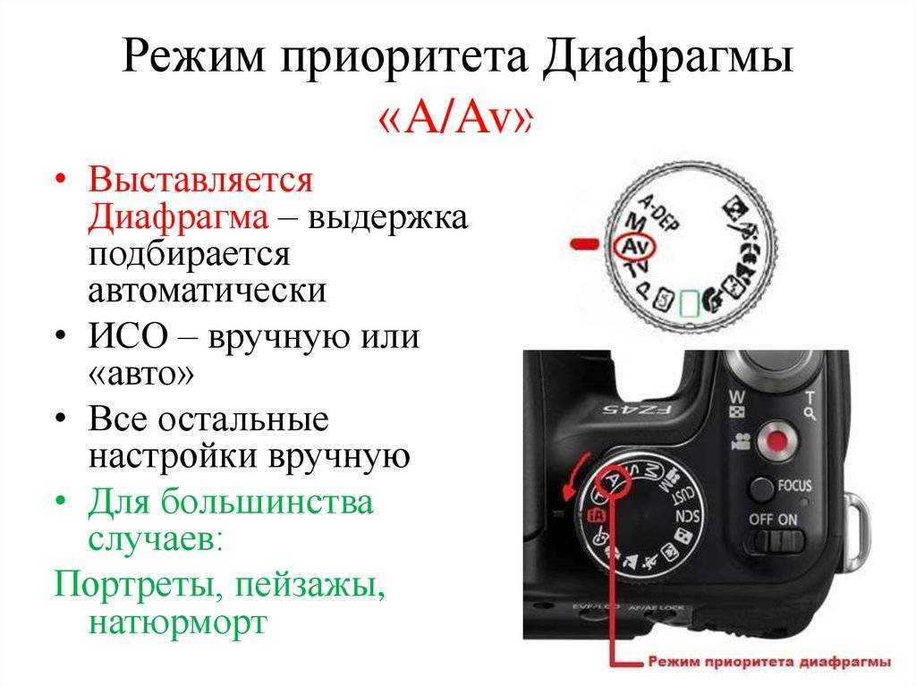Что такое электронная передняя шторка?