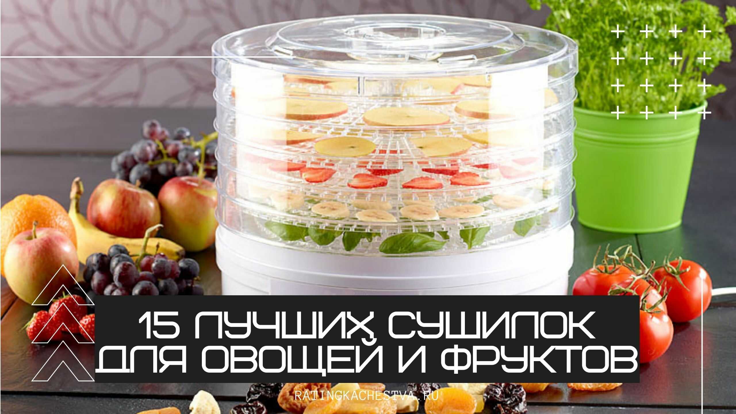 Топ-7 лучших сушилок для овощей и фруктов: рейтинг, отзывы