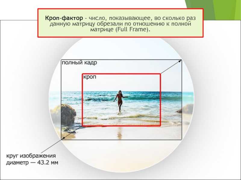 Объективы nikon: стартовый набор для начинающего
