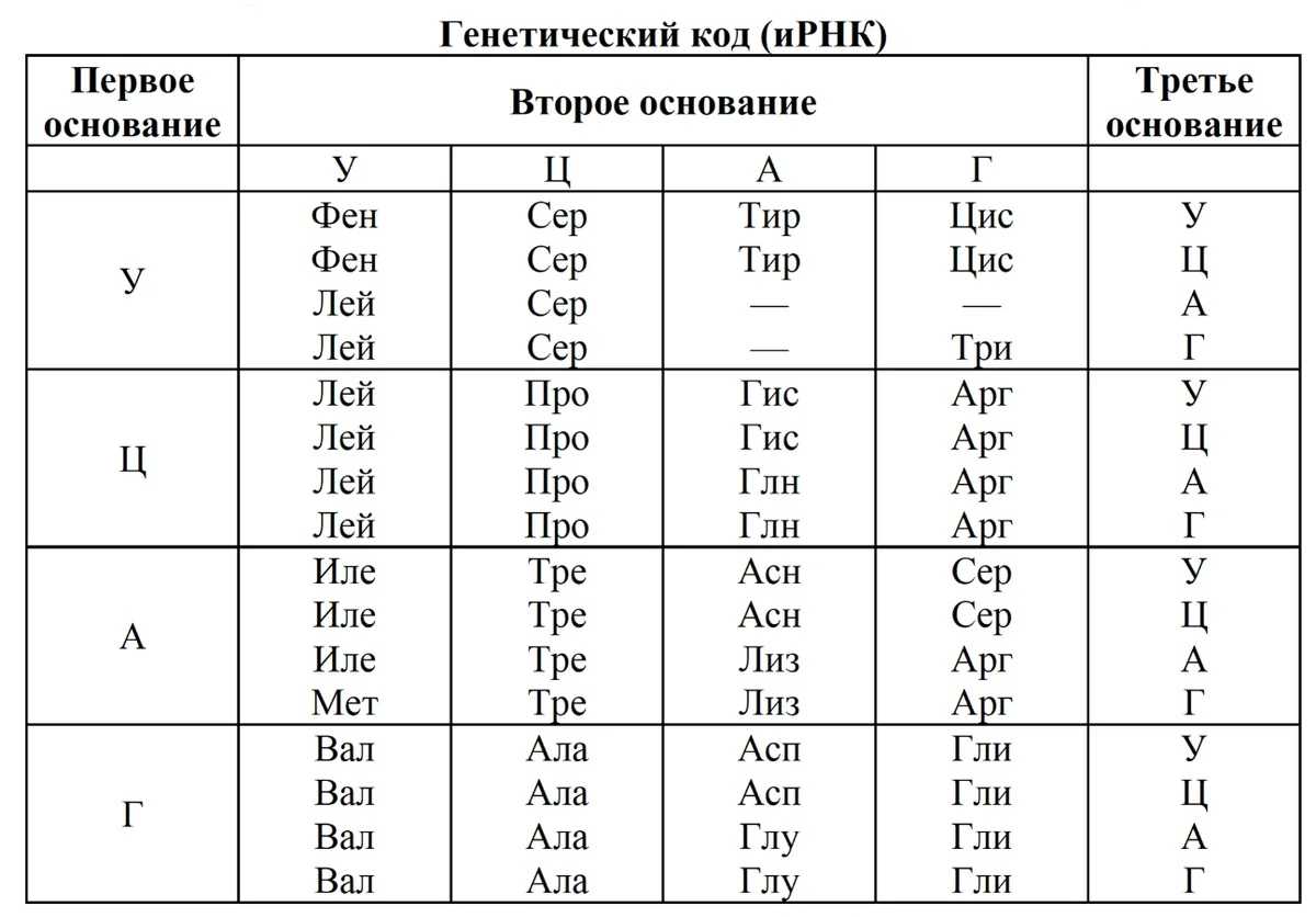 Триплет 5: диапроекционный триплет-5 100/2.8 (рогачевский з-д «диапроектор») с самодельным 0.7х спид-бустером. обзор от родиона эшмакова — главная — фотошкола юургу