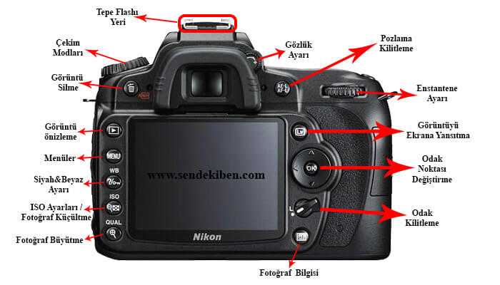 Зеркалка nikon d7100 – осенний фототест