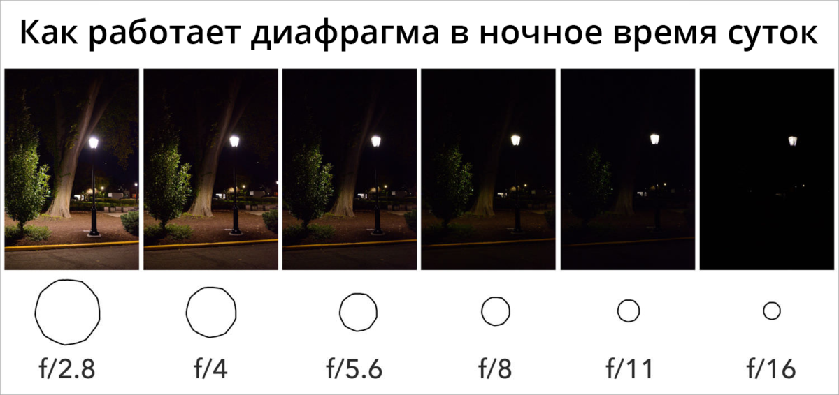 Диафрагма фотоаппарата что это – основы экспозиции в фотографии — photo7.ru — сайт о фотографии