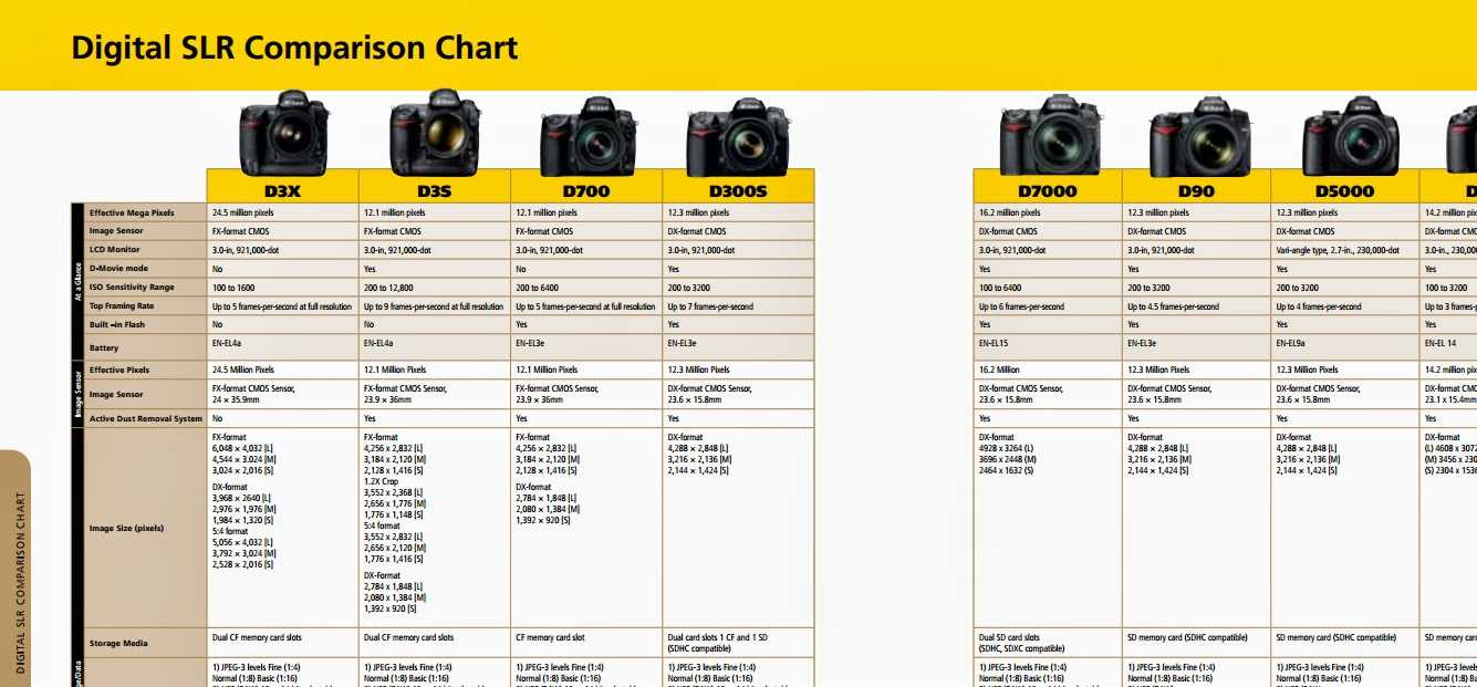 Nikon d810: обзор модели, отзывы покупателей и экспертов