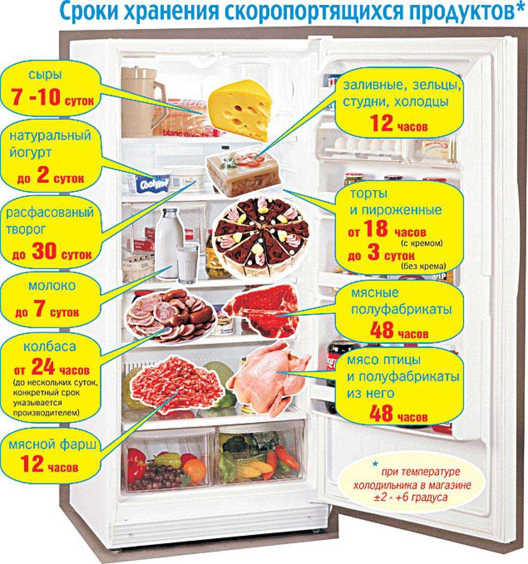Правильное хранение продуктов в холодильнике дома