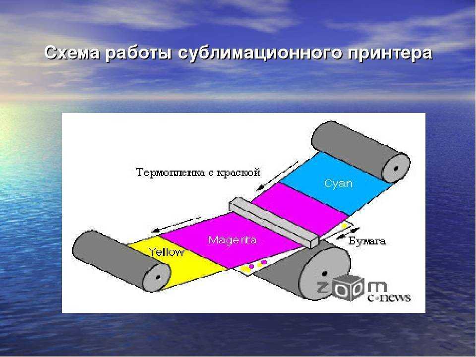 Топ-10 лучших сублимационных принтеров на 2023 год