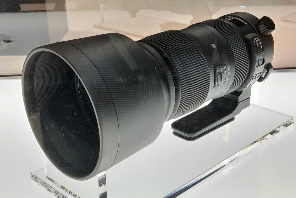 Sigma 60-600mm f/4.5-6.3 dg os hsm sports review - conclusion | photography blog