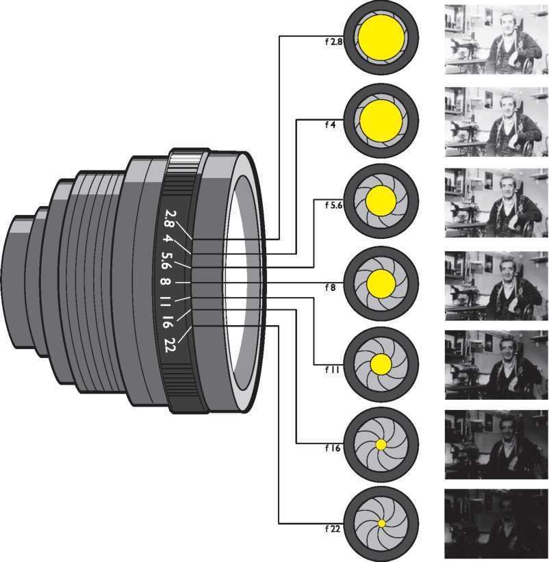 Nikon d3300: 
      органы управления