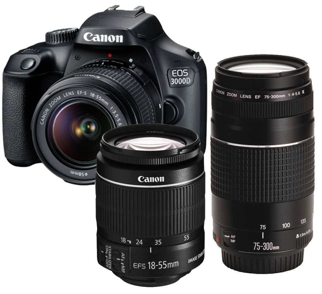 Обзор canon eos 750d: как он сравнивается с eos 200d?