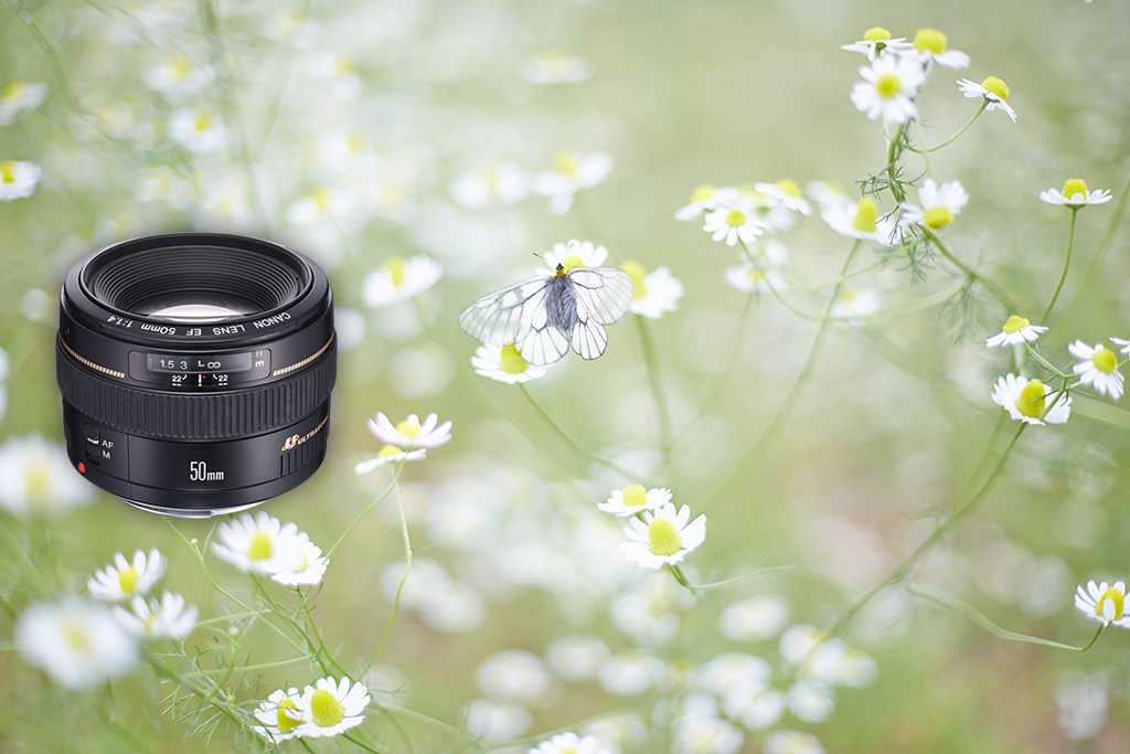 Mamiya press super 23 – frustratingly good - photo thinking - review