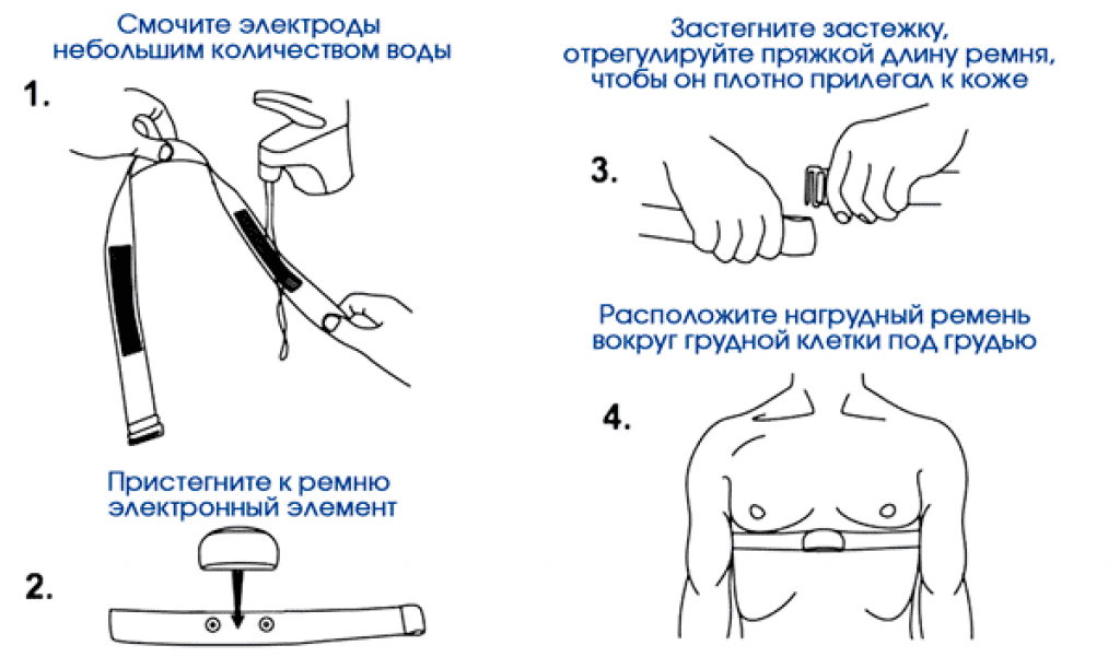 Как выбрать пульсометр