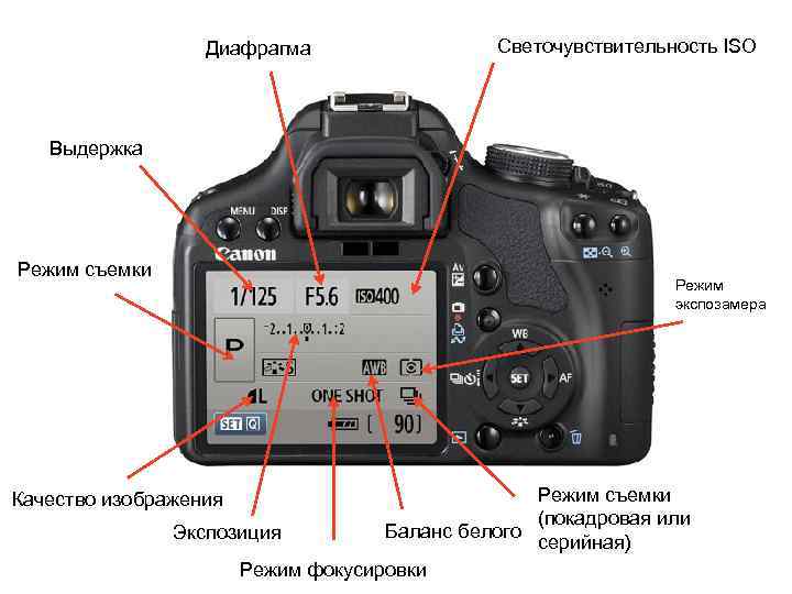 Nikon d100 comparison review