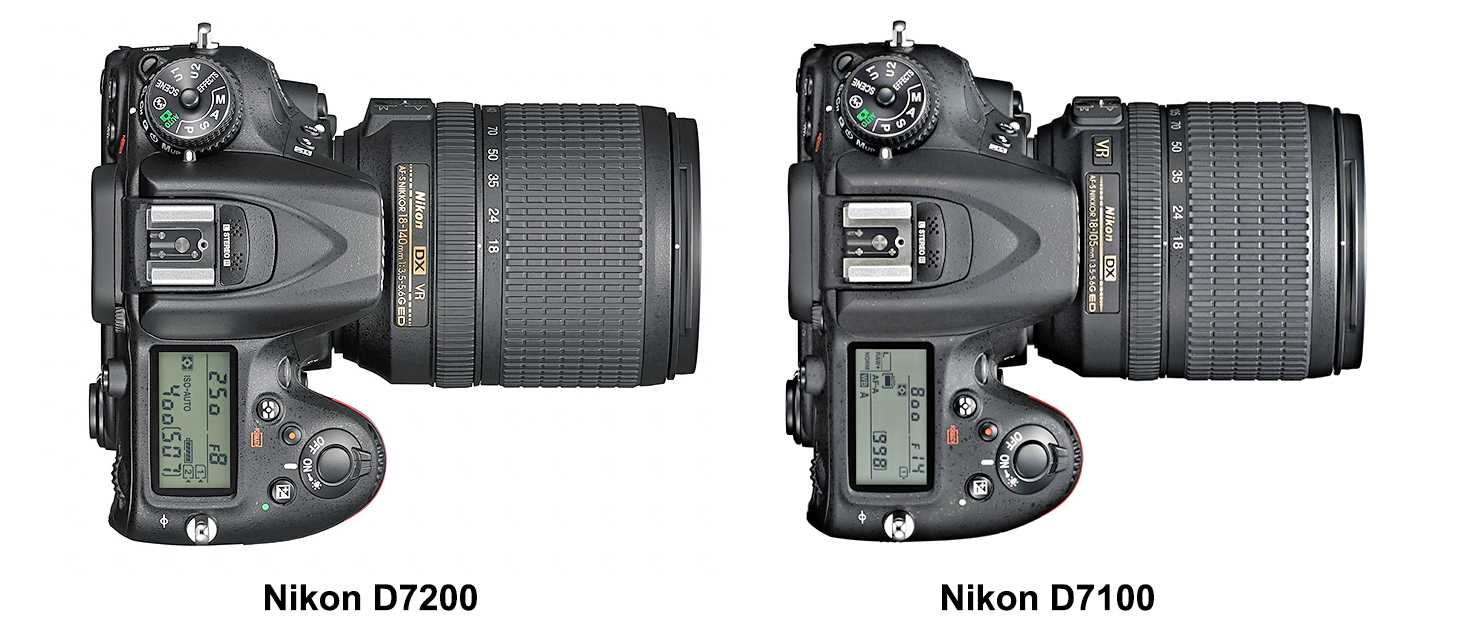 Какой фотоаппарат nikon купить: рейтинг лучших моделей