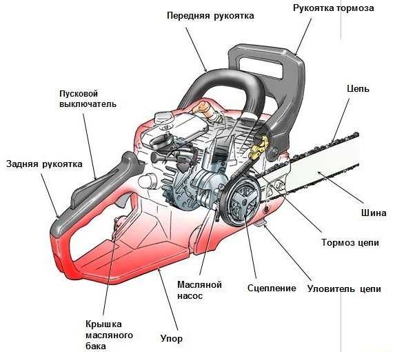 Ремонт бензопилы: принцип работы устройства и обслуживание своими руками