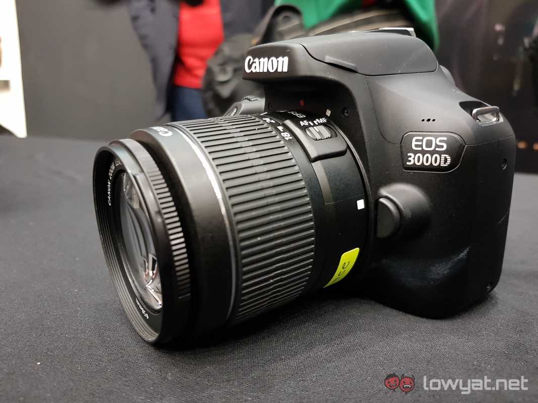 Canon eos 90d и canon eos 4000d - сравнение фотоаппаратов