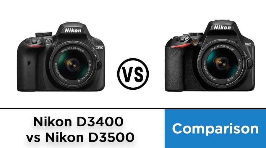 Nikon d3500 – новая зеркалка для новичков