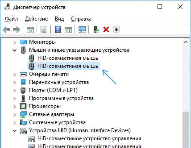 Ноутбук не видит мышь - проводную и беспроводную, что делать, варианты решения проблемы