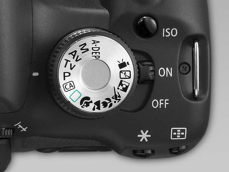 Тест зеркального фотоаппарата canon eos 500d