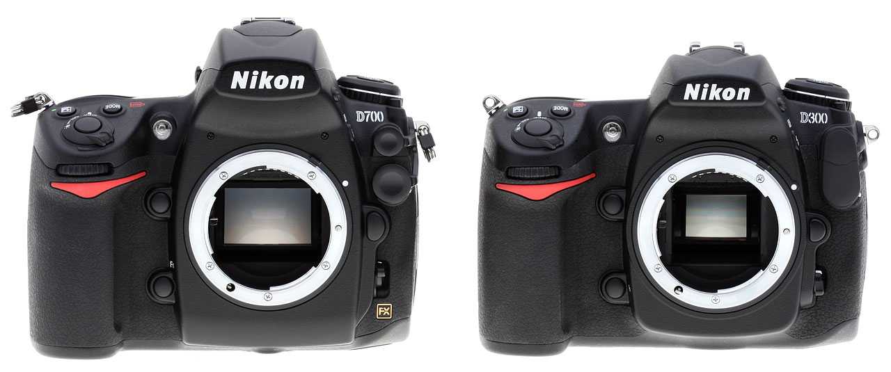 Nikon d800 и nikon d750 - сравнение фотоаппаратов