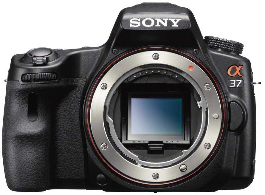 Отзывы sony alpha slt-a55 kit