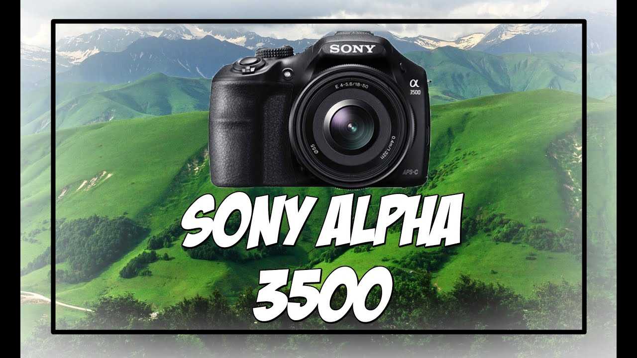 The 5 best sony cameras of 2023: reviews - rtings.com