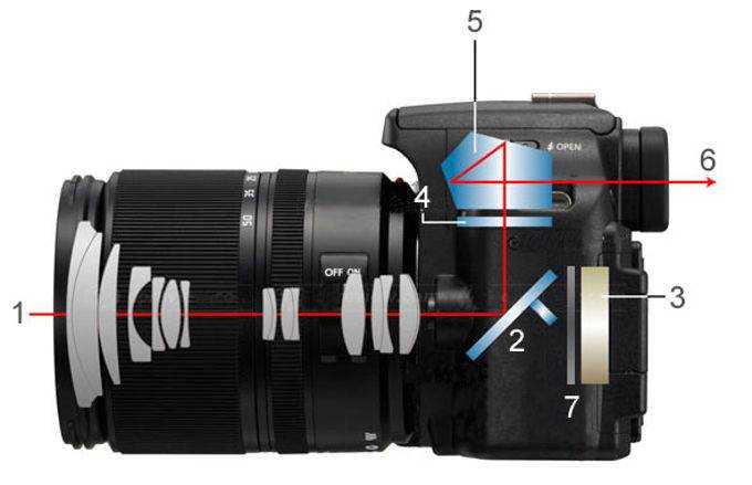 Выбор объективов для canon aps-c