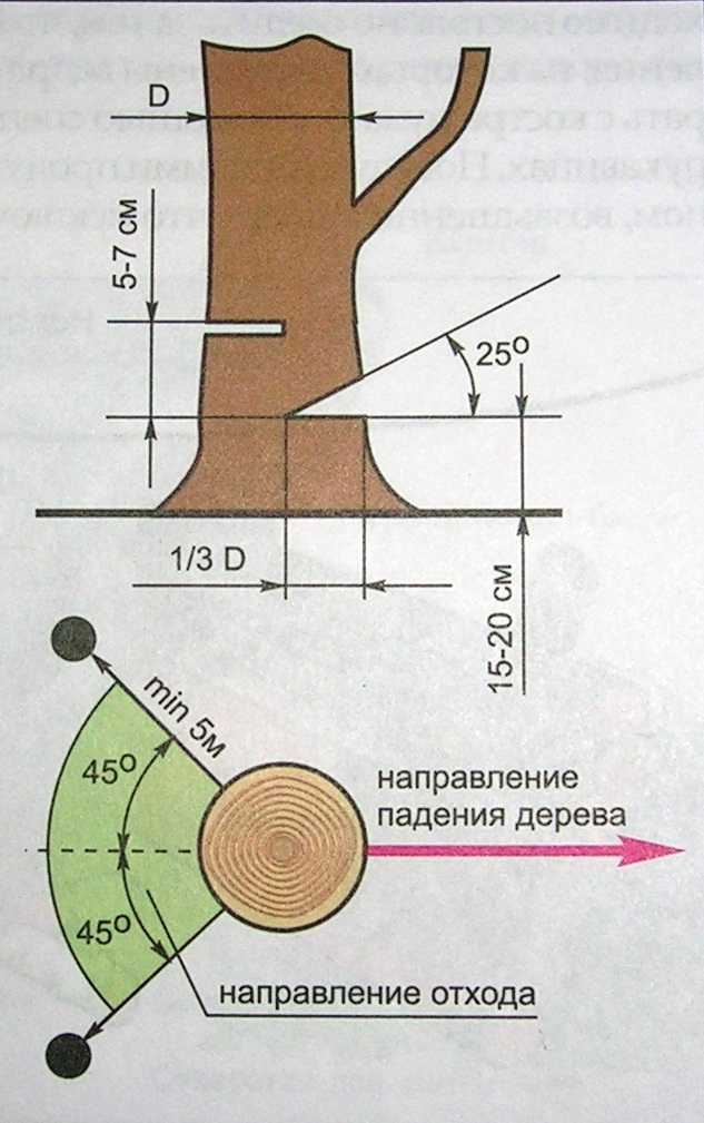 Распиловка бревна на доски бензопилой: приспособления и технология
