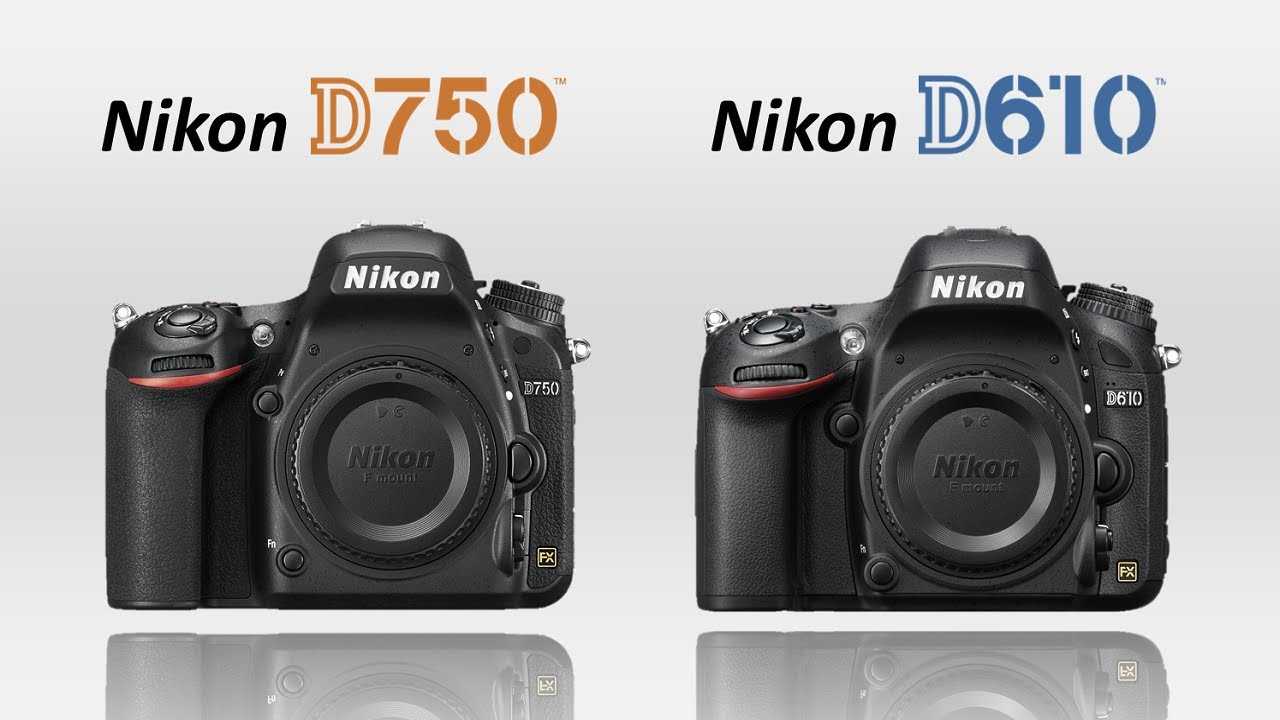 Полнокадровая зеркалка nikon d610: новая ступень мастерства для продвинутых фотолюбителей // новости фотоиндустрии // клуб фотопутешественников fototraveller