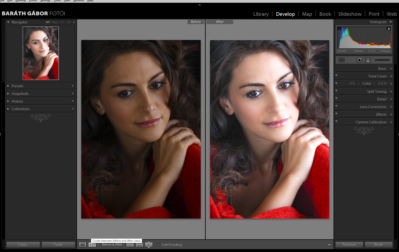 Инструменты локальной коррекции в lightroom ⋆ vendigo.ru