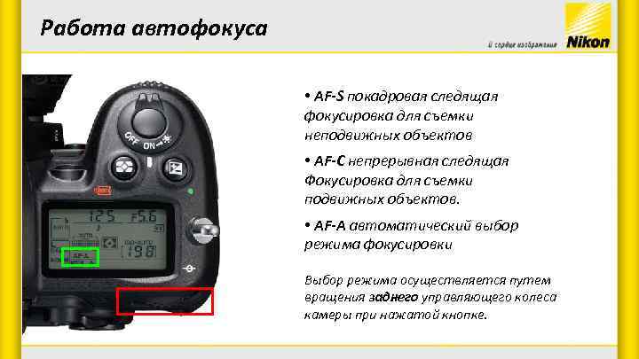 Настройки автофокуса nikon d3300