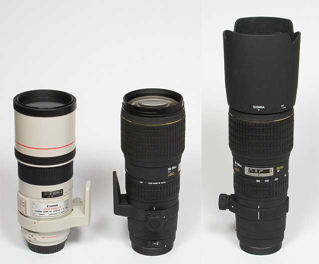 Обзор и тест sigma 100-300 f/4 apo dg hsm, или дедушка фрейд доволен!