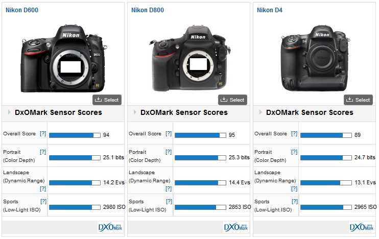 Nikon d600