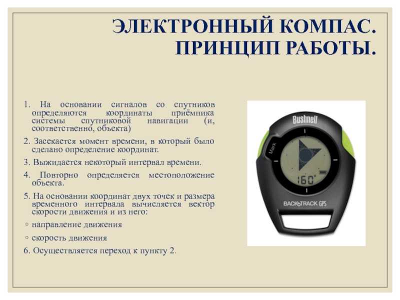 Как выбрать компас для леса и охоты: какой вид лучше, обзор лучших моделей