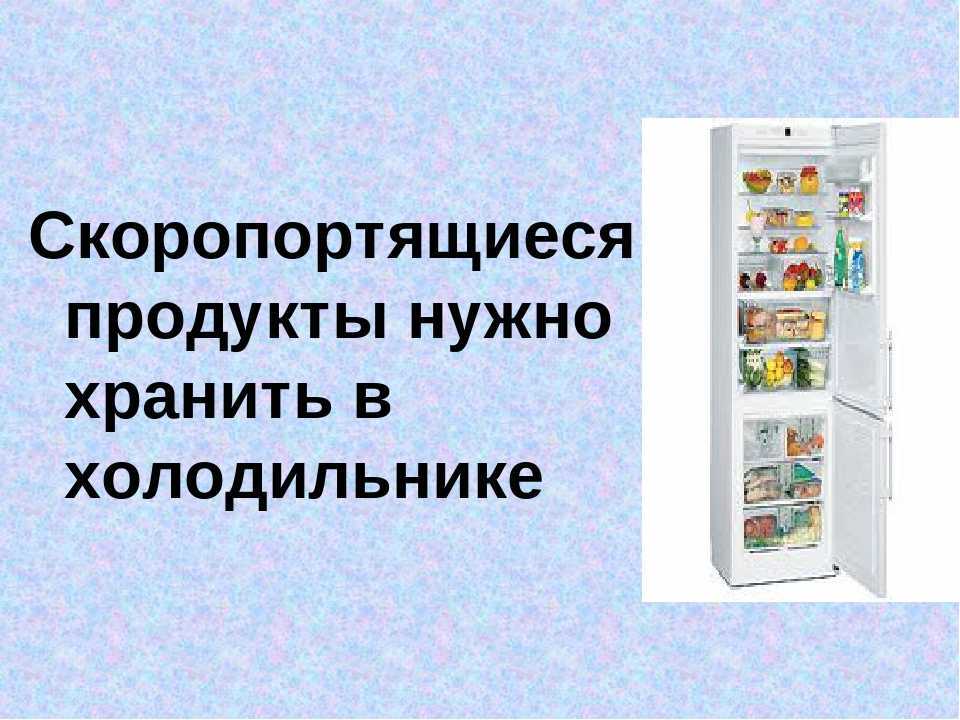 Почему продукты хранят в холодильнике - скоропортящиеся, мясные, рыбные