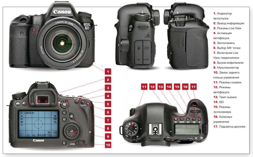 Тест зеркального фотоаппарата canon eos 6d: при съемке с большим перепадом контраста камера показала себя отлично, прорабатывая свет и тени