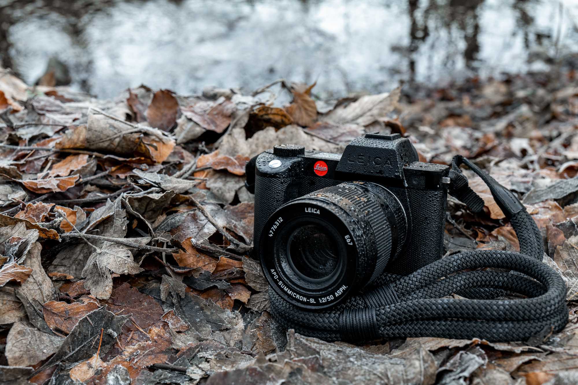Обзор leica sl2-s: тяжесть — это надёжно — wylsacom