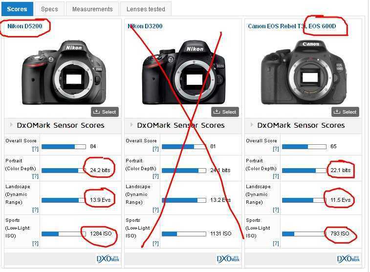 Nikon vs canon vs sony: which is best in 2023?